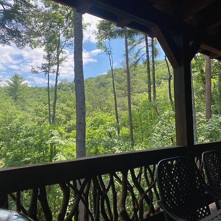 The Cozy Lazy Laurel With Year-Round Mountain Views, Hot Tub, Fire Pit Villa Cherry Log Kültér fotó