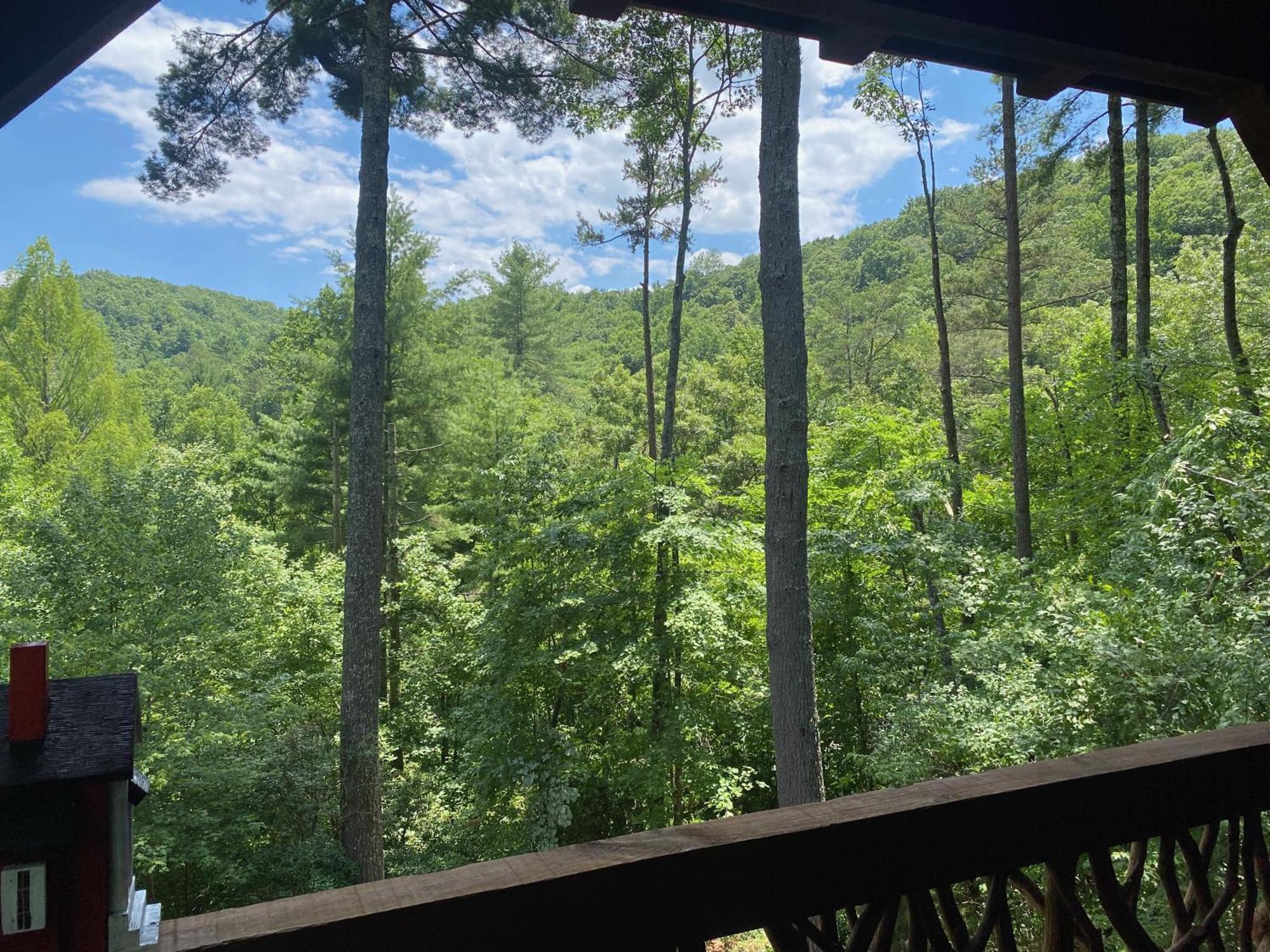 The Cozy Lazy Laurel With Year-Round Mountain Views, Hot Tub, Fire Pit Villa Cherry Log Kültér fotó