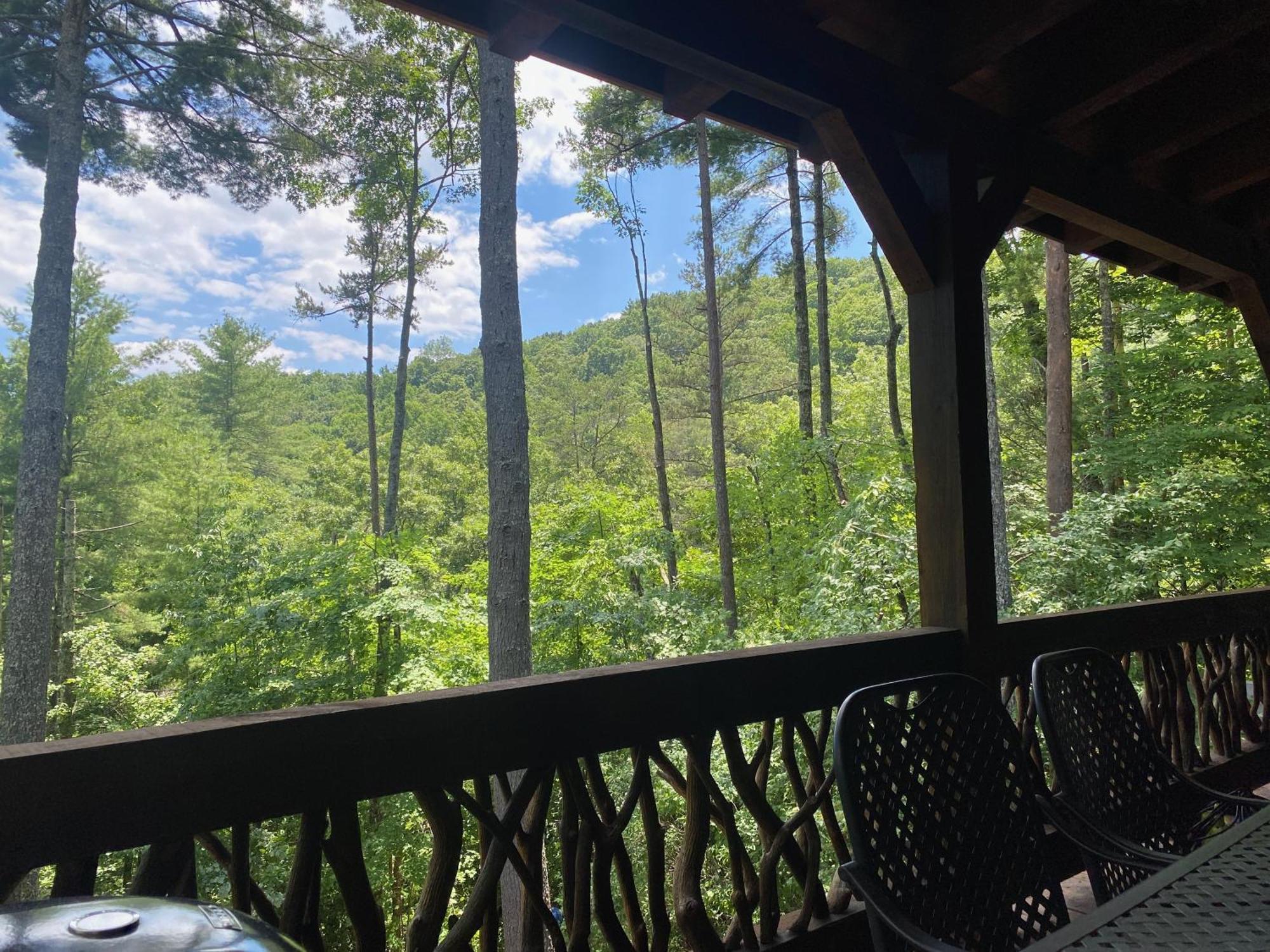 The Cozy Lazy Laurel With Year-Round Mountain Views, Hot Tub, Fire Pit Villa Cherry Log Kültér fotó